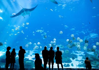 What you can do NOW… From Day 1