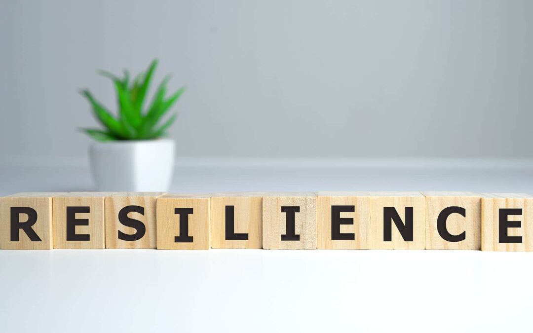 Energy is the Fuel for Resilience: How to Tap into It