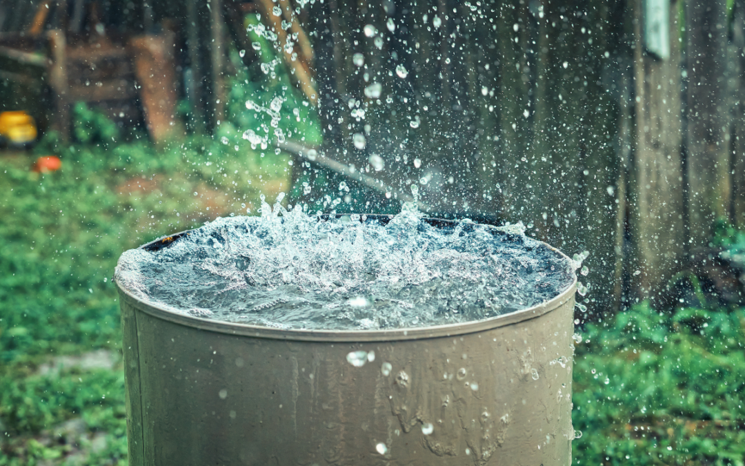 The Rain Barrel