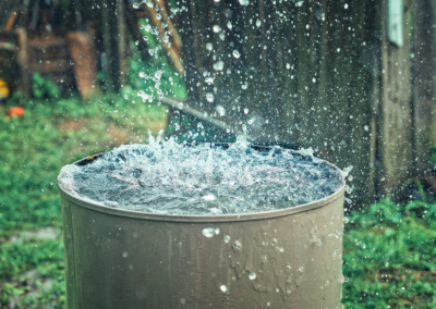 The Rain Barrel